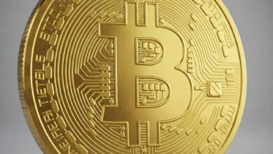 5 Curious Facts About Bitcoin in the US
