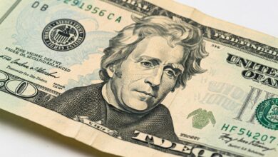 Did you know that the most counterfeited dollar bill is the $20 bill?