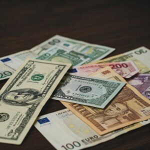 The Power of the Individual Investor: Democratizing the Market