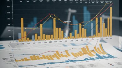 Understand how the stock market began