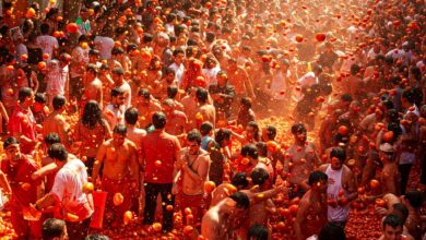 The "La Tomatina" Tomato Fight