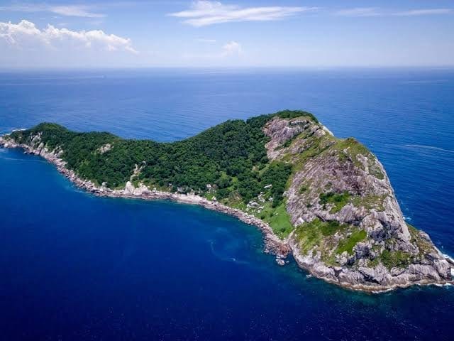 Snake Island