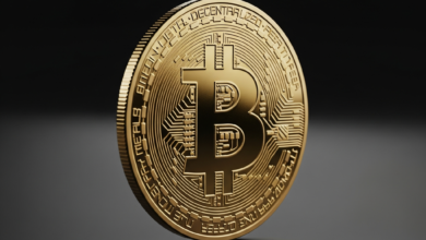 Beyond Bitcoin: The Expanding World of Digital Currencies