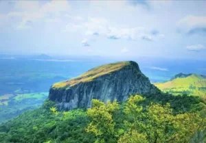 Gigante árvore de pedra