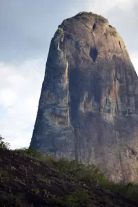 montanha que parece arvore